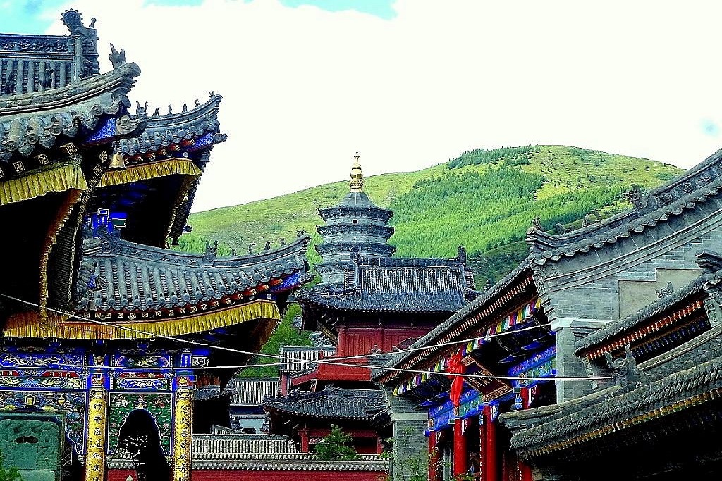 CINA TRADIZIONALE (2026-27)